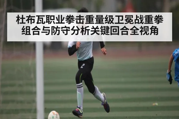 杜布瓦职业拳击重量级卫冕战重拳组合与防守分析关键回合全视角